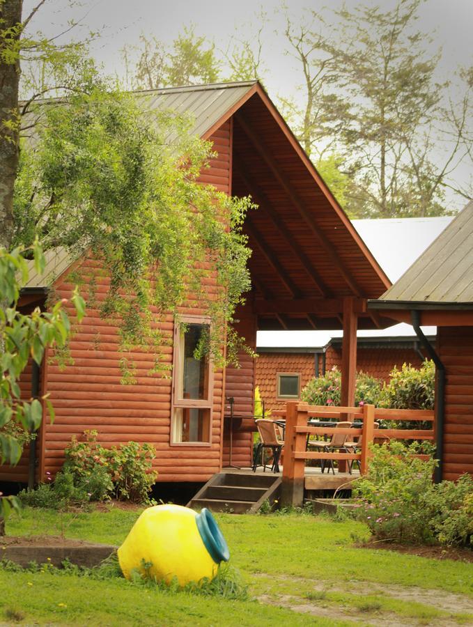 Cabanas Risso Villa Villarrica Bagian luar foto