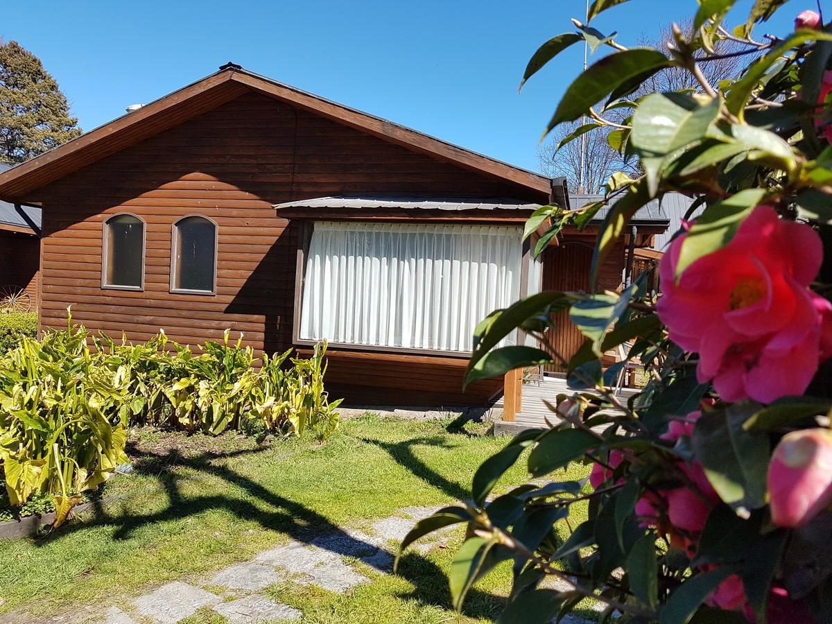 Cabanas Risso Villa Villarrica Bagian luar foto